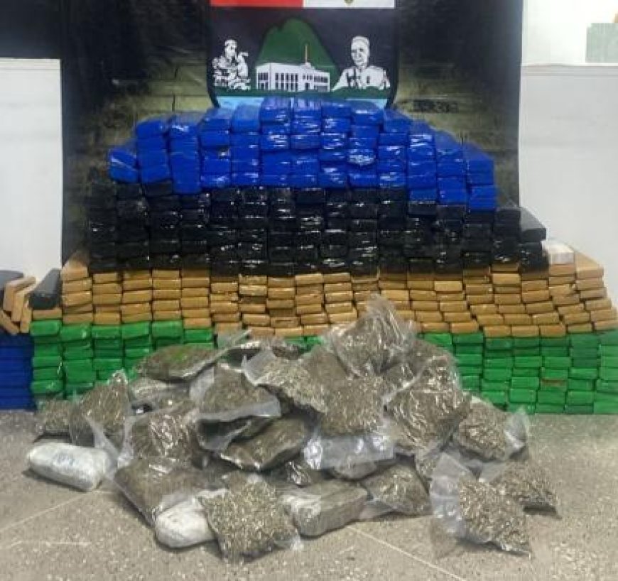 Motorista foge de barreira e é preso com quase meia tonelada de maconha em MT