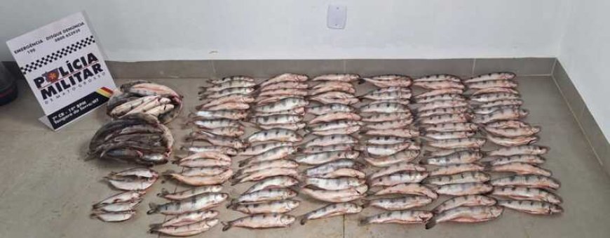 Homem é preso com mais de 150 espécimes de peixes em Tangará da Serra