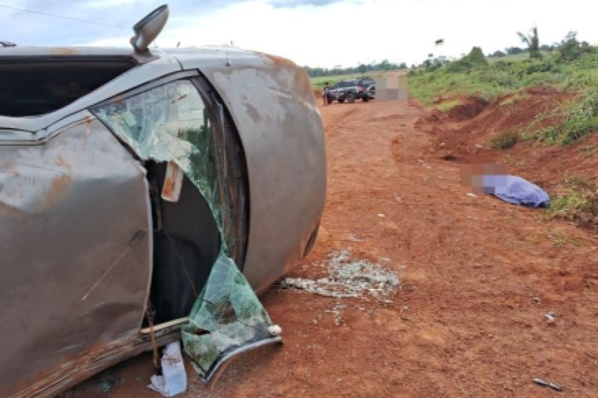 Motorista perde controle ao desviar de cão, capota carro e morre